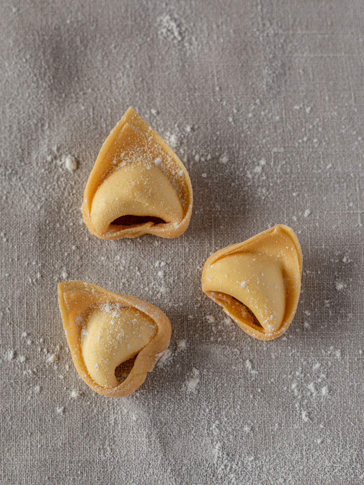 Tortelloni di Ricotta Bolognesi