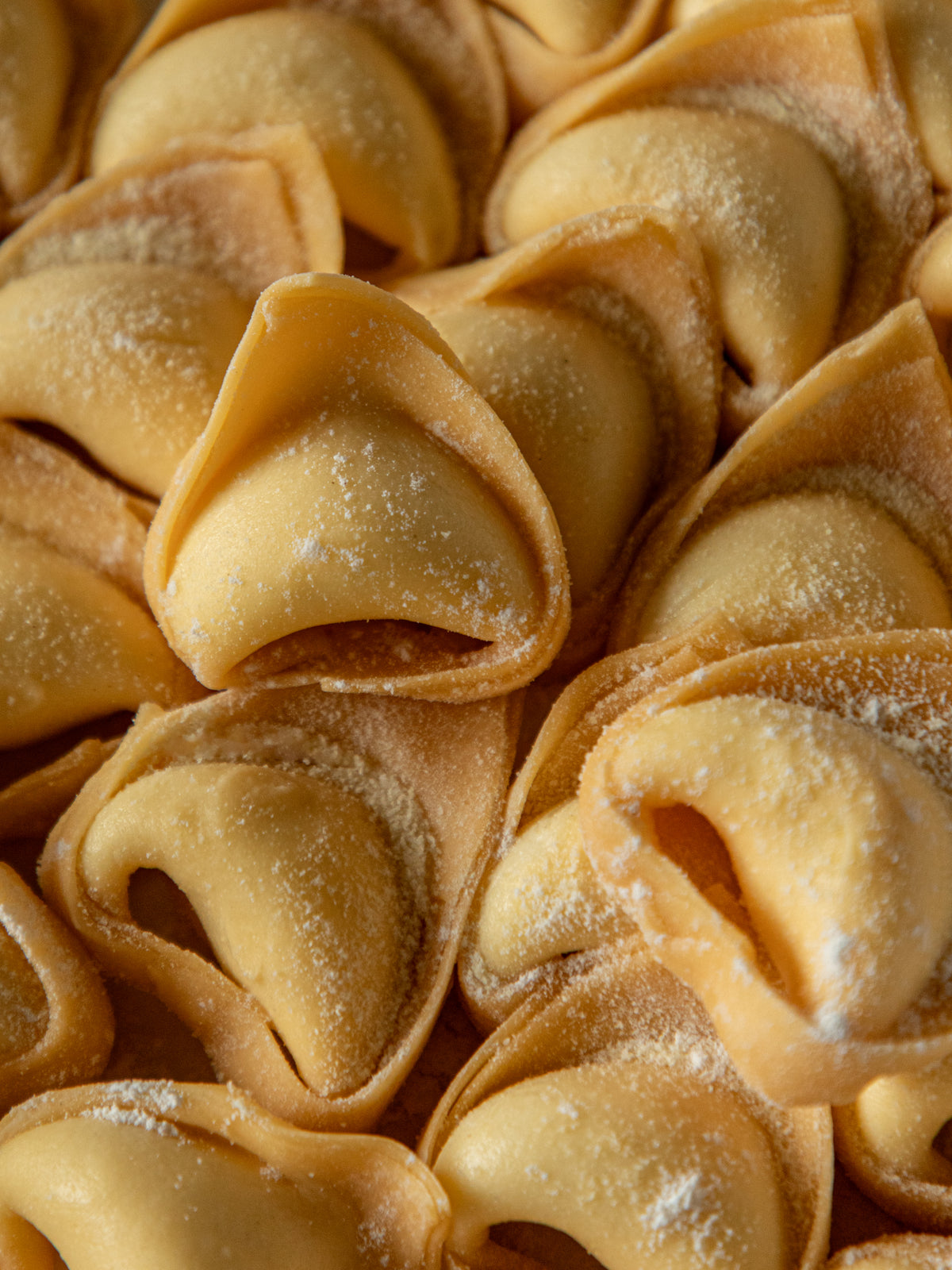 Tortelloni di Ricotta Bolognesi