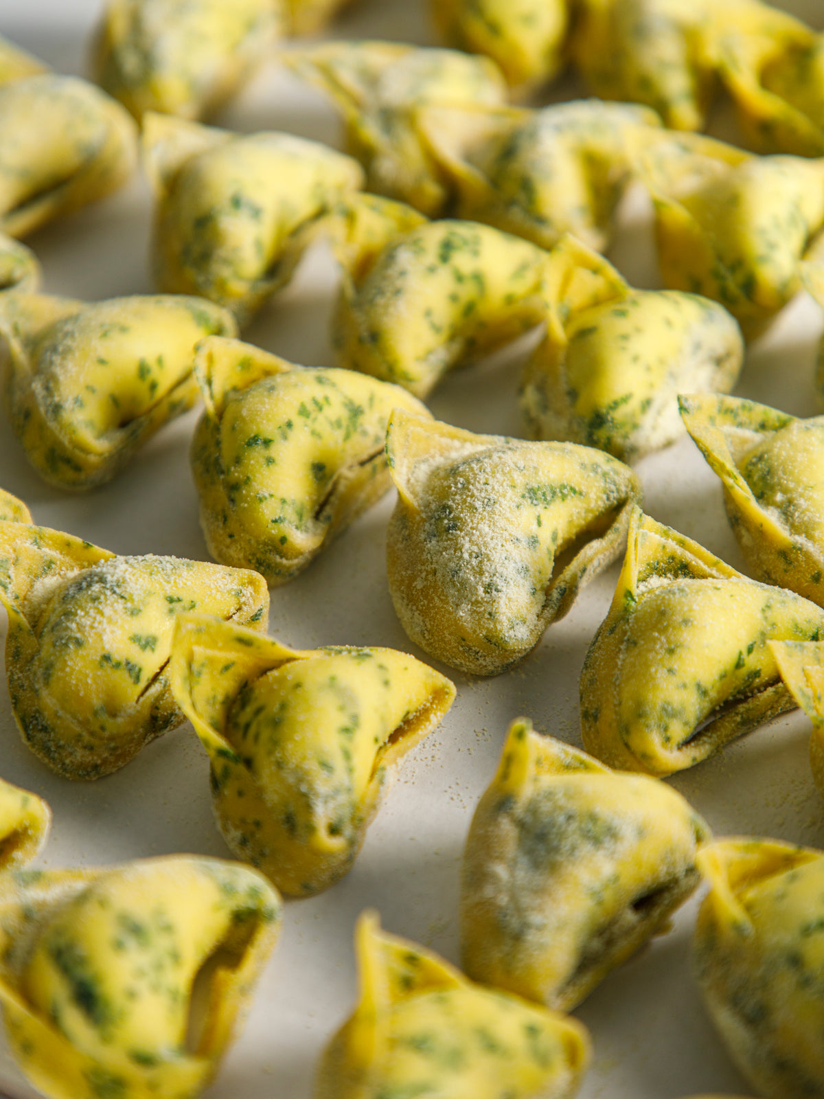 Tortelloni con Ricotta e Prezzemolo "Animalier"