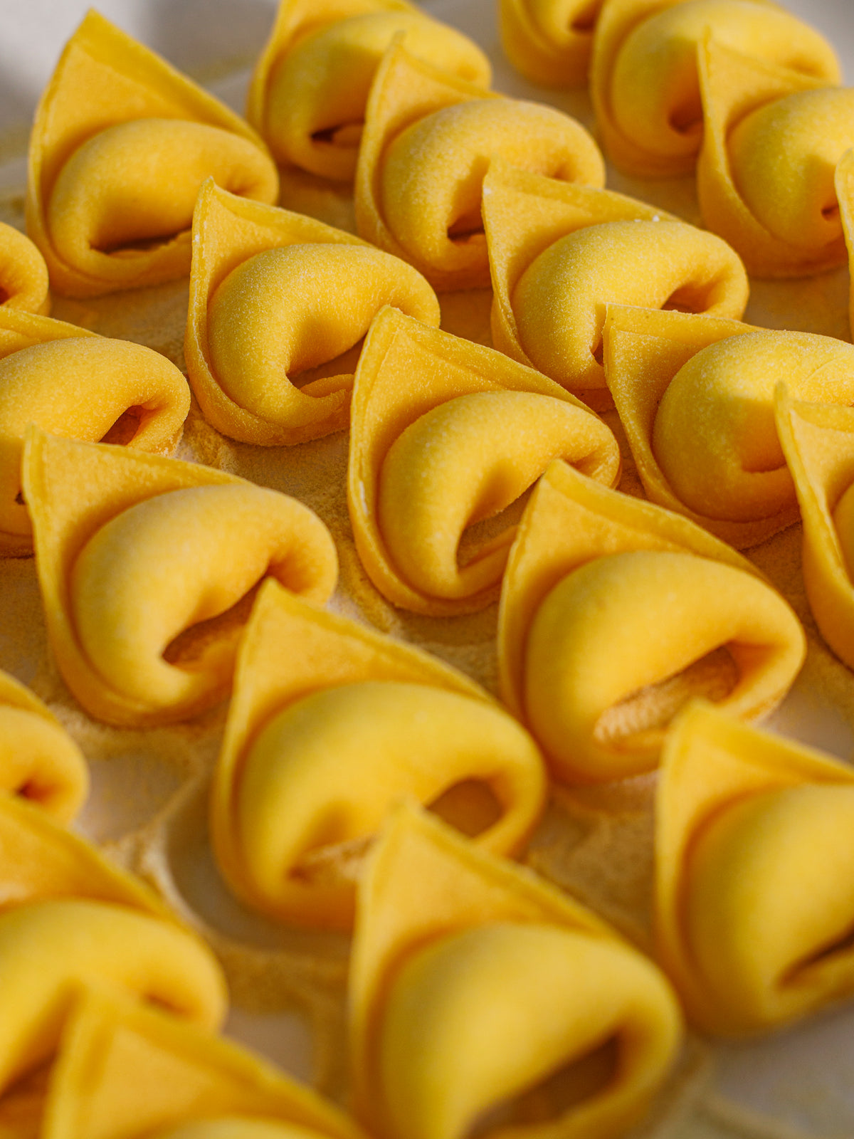 Tortelloni con Ricotta e Limone