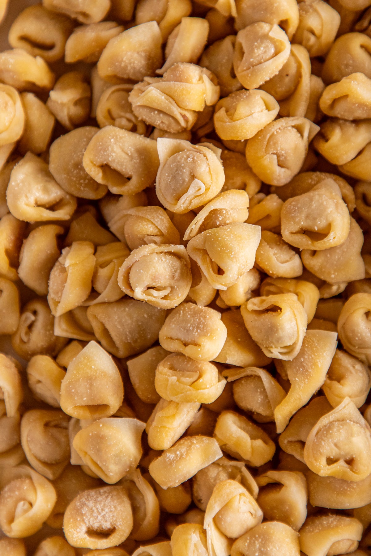 Tortellini bolognesi